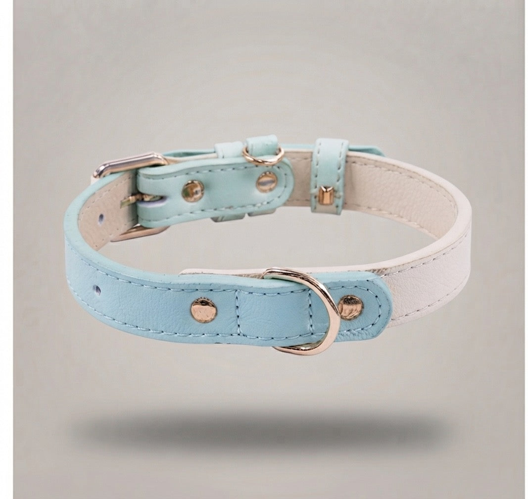 Pastel Dreams collar for Paws