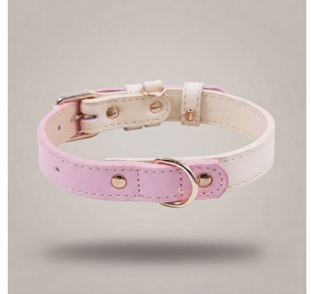 Pastel Dreams collar for Paws