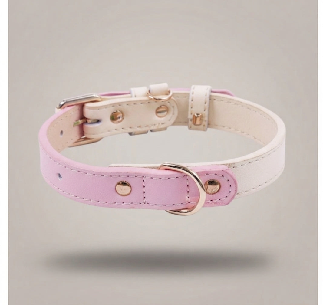 Pastel Dreams collar for Paws
