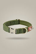 Essential Comfort: Durable & Padded Dog Collar