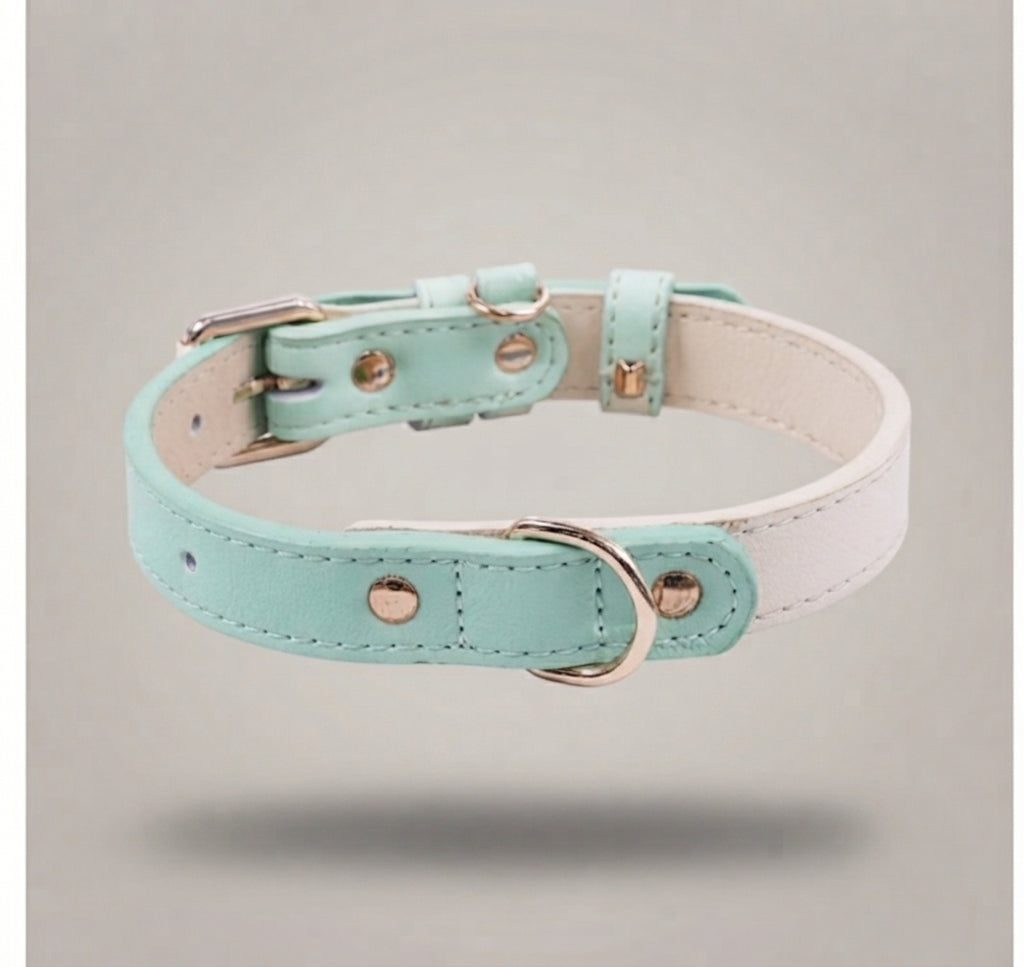 Pastel Dreams collar for Paws