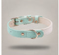 Pastel Dreams collar for Paws