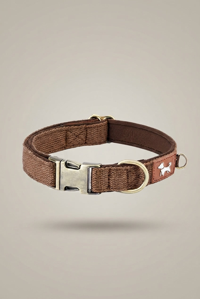 Essential Comfort: Durable & Padded Dog Collar