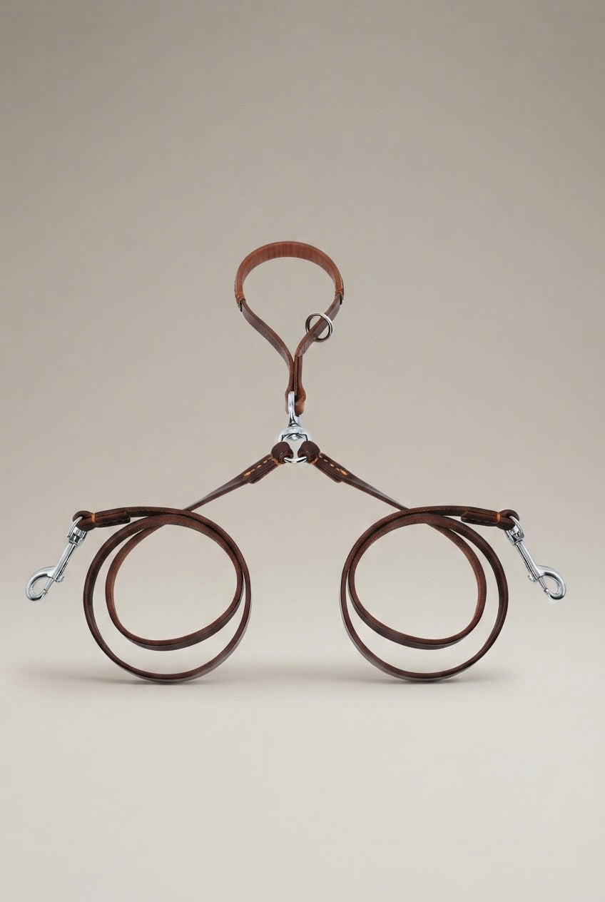 2 Ways Dog Leash Double Two Pet Leather Leads