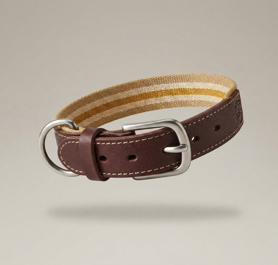 Pet Collar Dog Collar