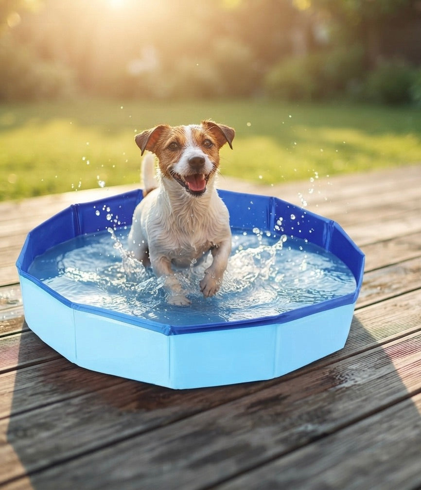 Compact Cooling Pool for Pets