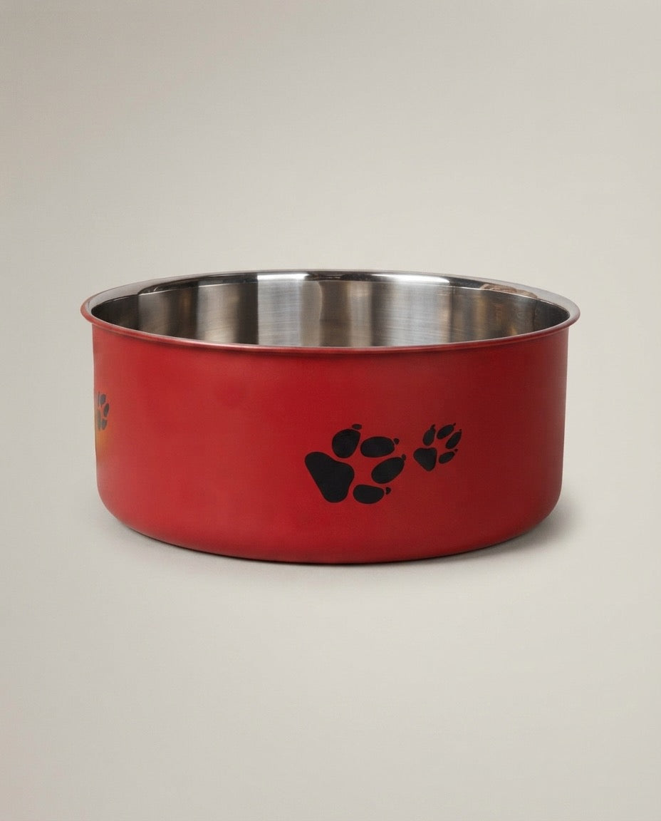 Non-Slip Stainless Steel Dog & Cat Bowl – Cute Paw Print Feeding Station (S/M/L)