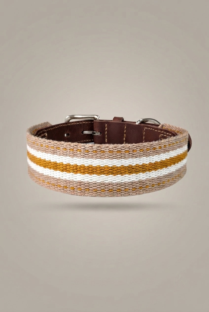 Pet Collar Dog Collar
