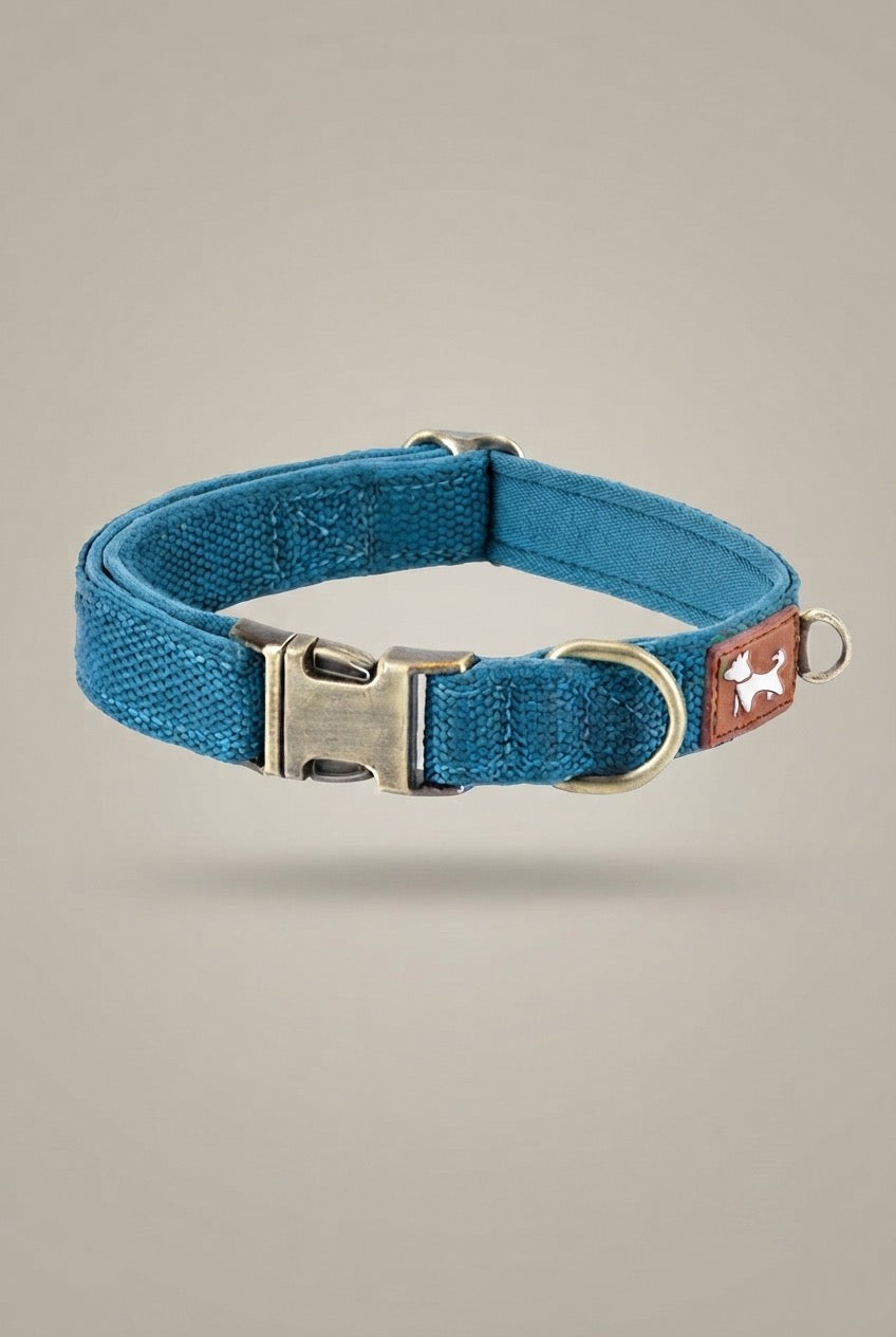 Essential Comfort: Durable & Padded Dog Collar