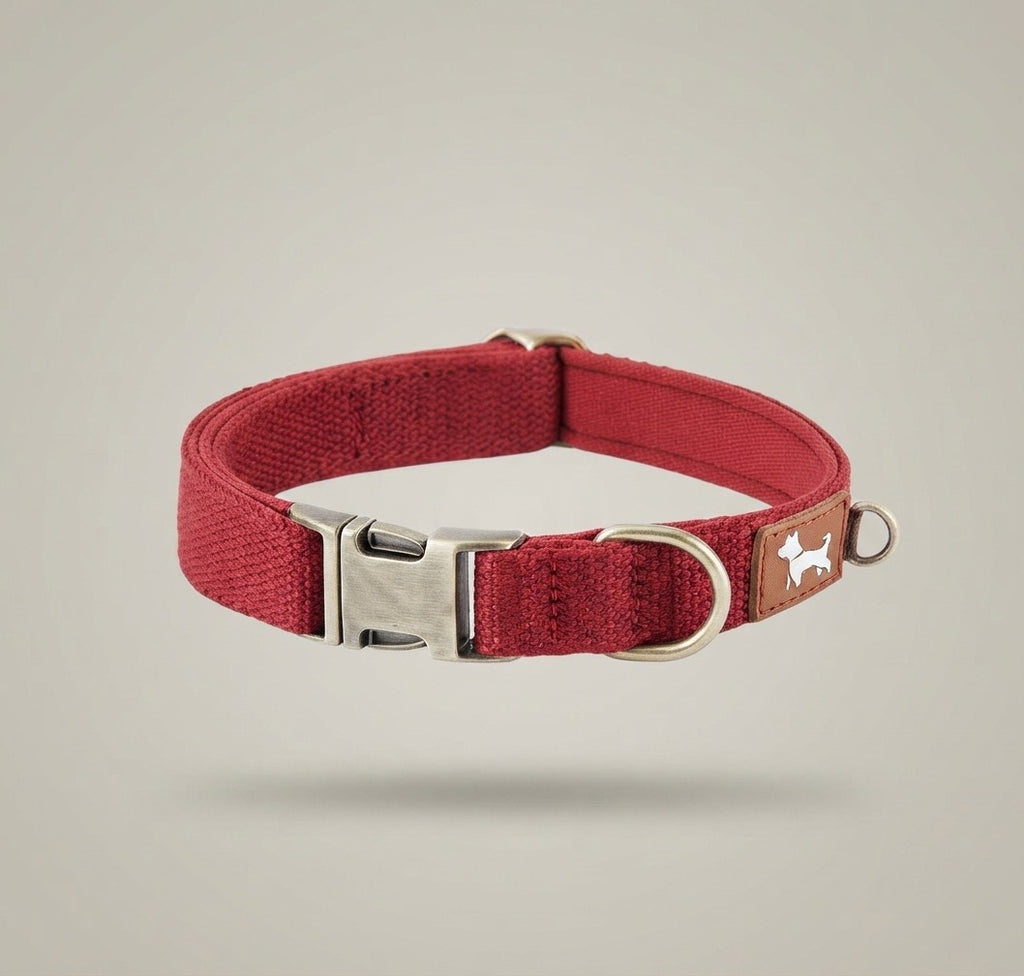 Essential Comfort: Durable & Padded Dog Collar