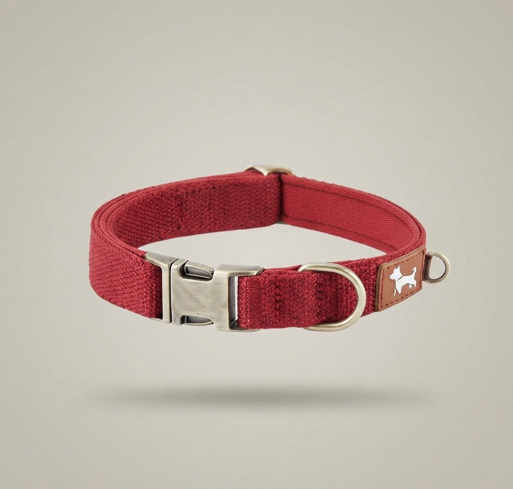 Essential Comfort: Durable & Padded Dog Collar